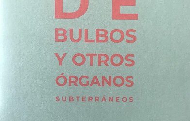 De bulbos y otros órganos subterráneos