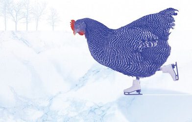 Cosas pequeñas como esas