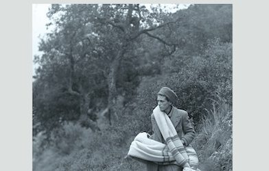 Los girasoles ciegos