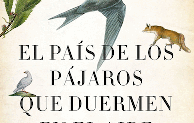 El país de los pájaros que duermen en el aire