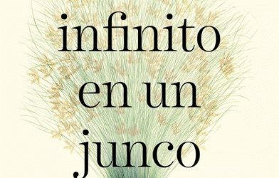 El infinito en un junco