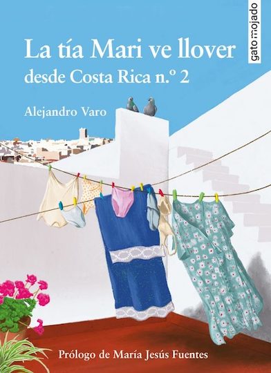 La tía Mari vive desde que nació en la calle Costa Rica, Cádiz. De joven, solía salir de penitencia en el Ecce Mater, pero dejó de hacerlo cuando decidió que no podía con las piernas. Ahora tiene más de ochenta años, cocina unas torrijas de escándalo y baila el Chicken Teriyaki de Rosalía en clases de gimnasia con su amiga Chari. Una tarde de clausura obligatoria, mientras tiende la ropa en la azotea, comienza a lloverle a mares. Será entonces cuando rememore toda su vida sin orden alguno, amenazada siempre por un drago milenario que la vigila desde el n.º 1 de la misma calle. Durante las treinta y seis horas de lluvia, la tía Mari no podrá evitar sumirse en un sopor que la llevará a reencontrarse con su pasado y a reconciliarse con la soledad y consigo misma. La tía Mari vive desde que nació en la calle Costa Rica, Cádiz. De joven, solía salir de penitencia en el Ecce Mater, pero dejó de hacerlo cuando decidió que no podía con las piernas. Ahora tiene más de ochenta años, cocina unas torrijas de escándalo y baila el Chicken Teriyaki de Rosalía en clases de gimnasia con su amiga Chari. Una tarde de clausura obligatoria, mientras tiende la ropa en la azotea, comienza a lloverle a mares. Será entonces cuando rememore toda su vida sin orden alguno, amenazada siempre por un drago milenario que la vigila desde el n.º 1 de la misma calle. Durante las treinta y seis horas de lluvia, la tía Mari no podrá evitar sumirse en un sopor que la llevará a reencontrarse con su pasado y a reconciliarse con la soledad y consigo misma.